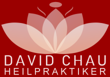 logo-david-chau-heilpraktiker-4-914x641